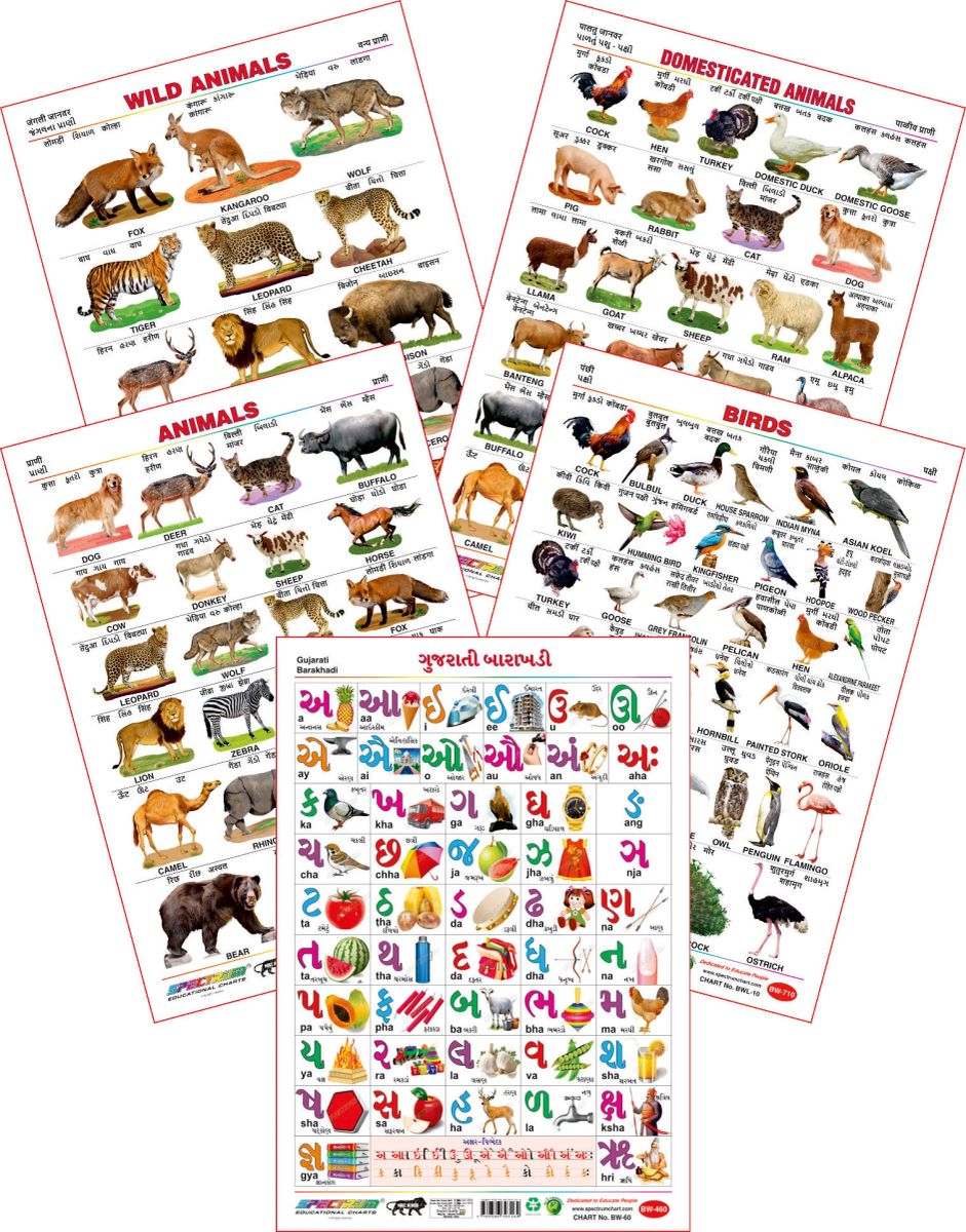 Spectrum Educational Large Wall Charts Set Of 5 Gujarati 
